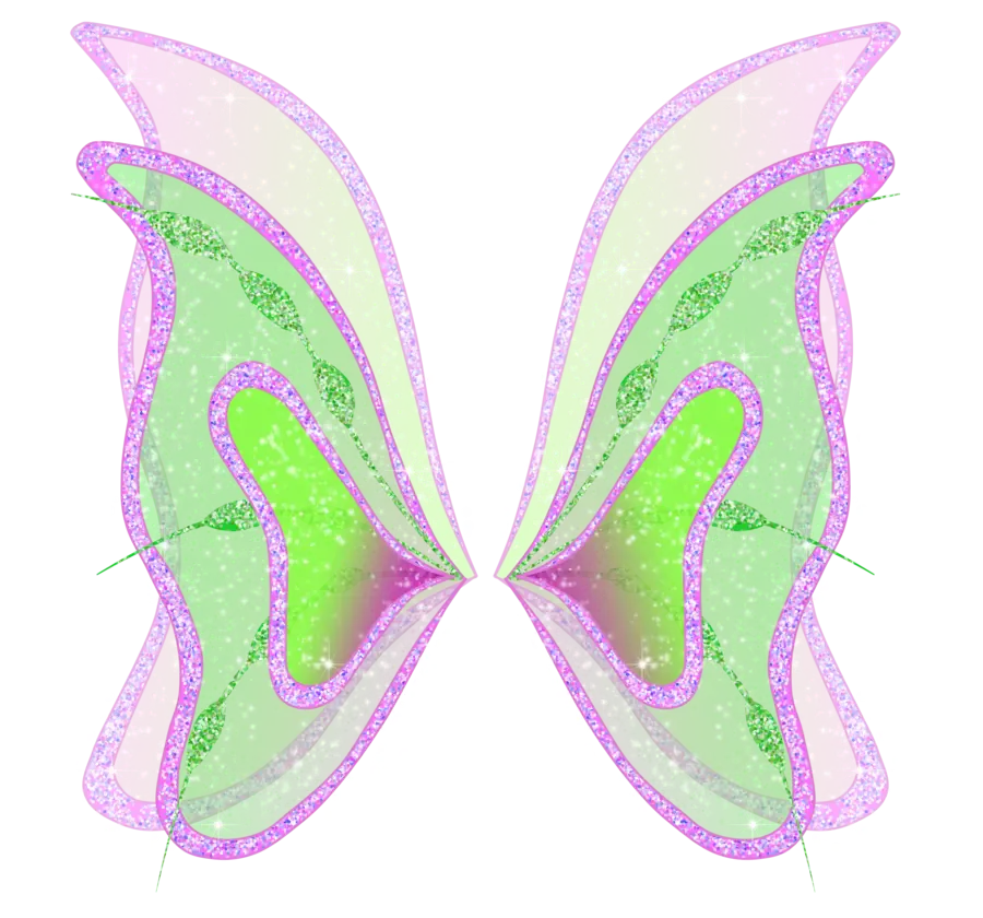 Colorful Fairy Wings