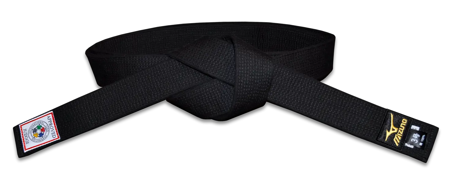 Black Belt in Martial Arts