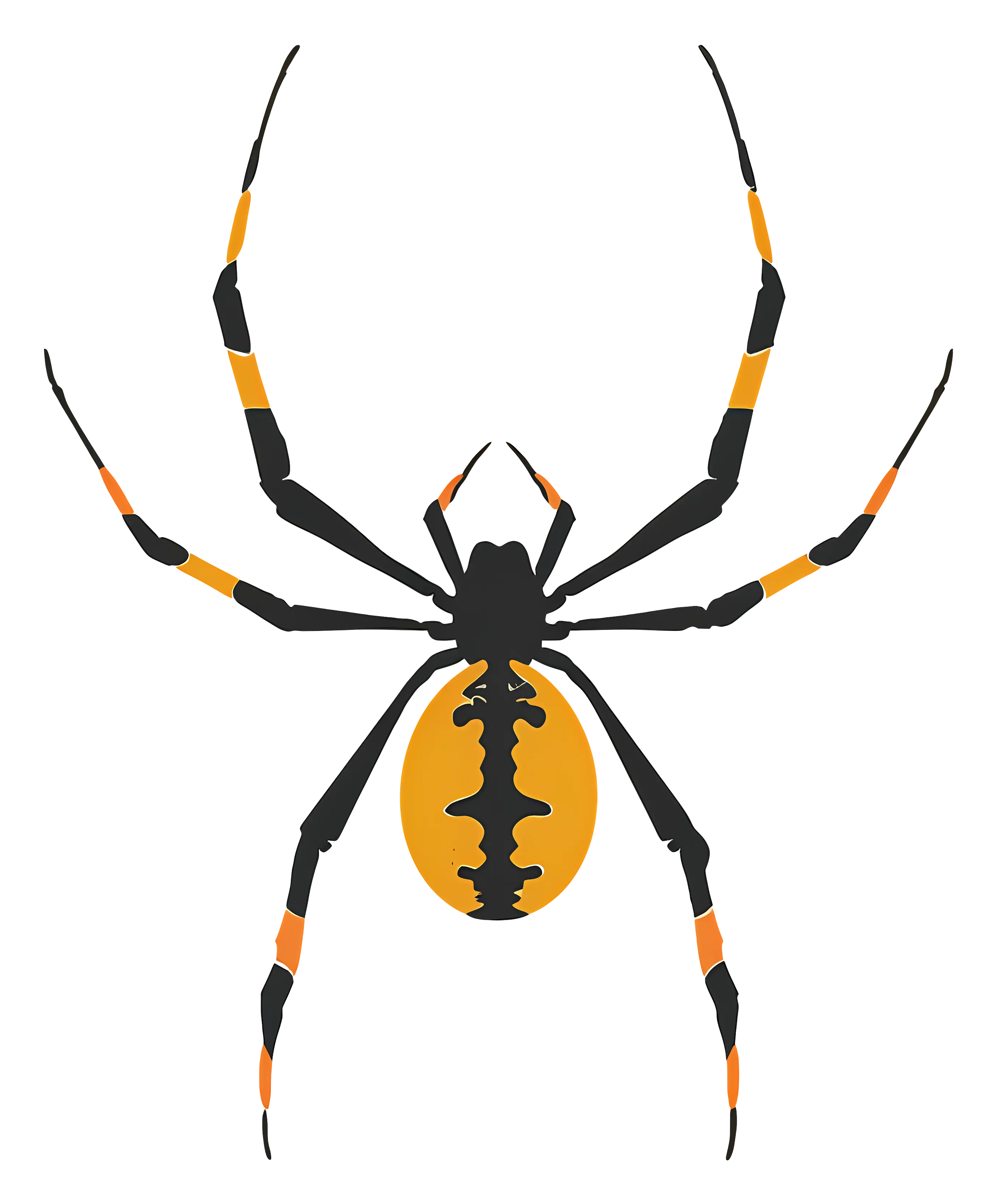 Illustration of an Orange and Black Spider