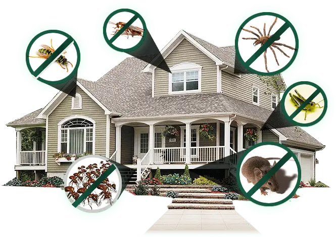Home Pest Prevention Concept Image