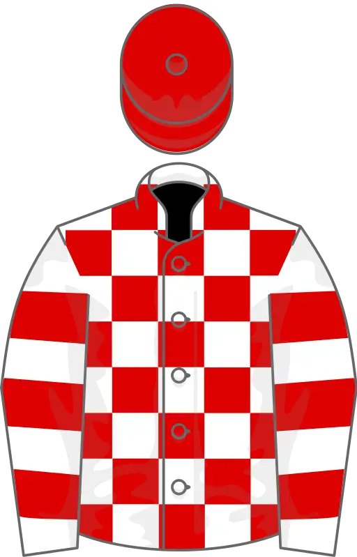 Checkerboard-Patterned Jockey Uniform with Red Helmet