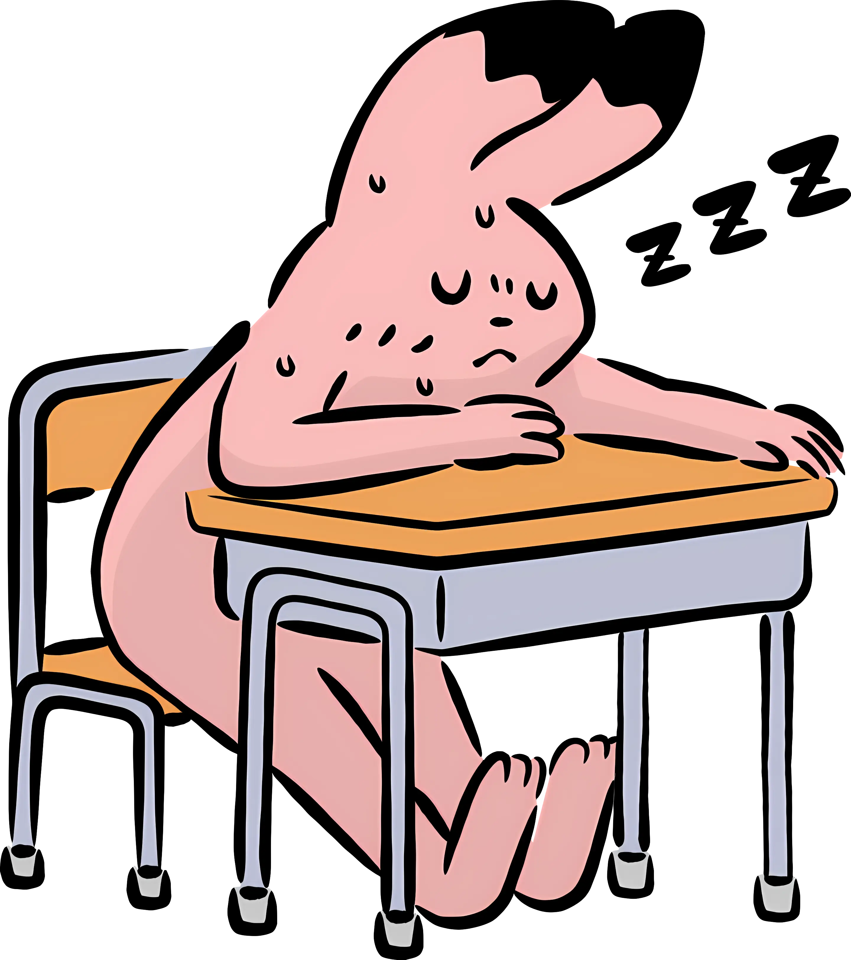 Sleeping Dog at Desk