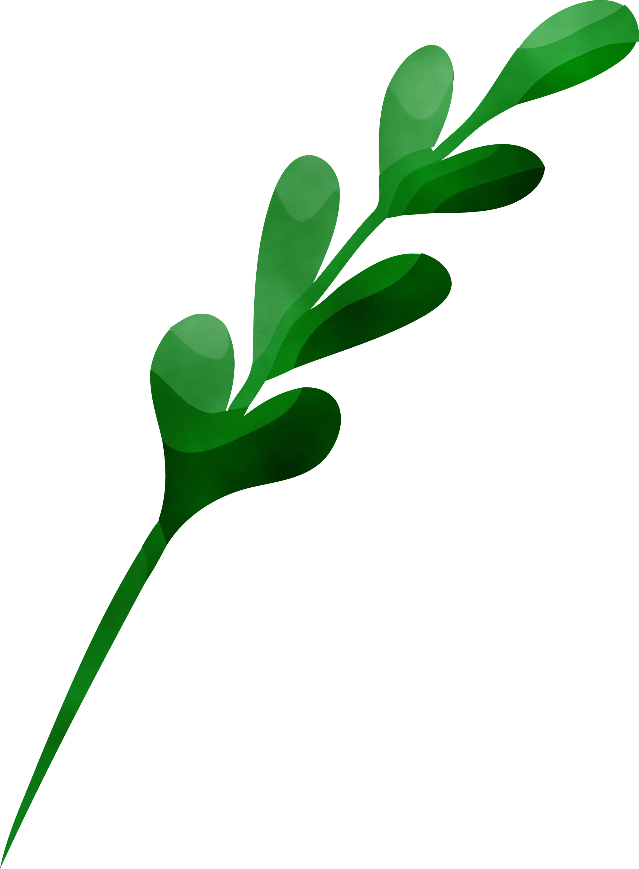 Simple Green Leafy Branch Illustration