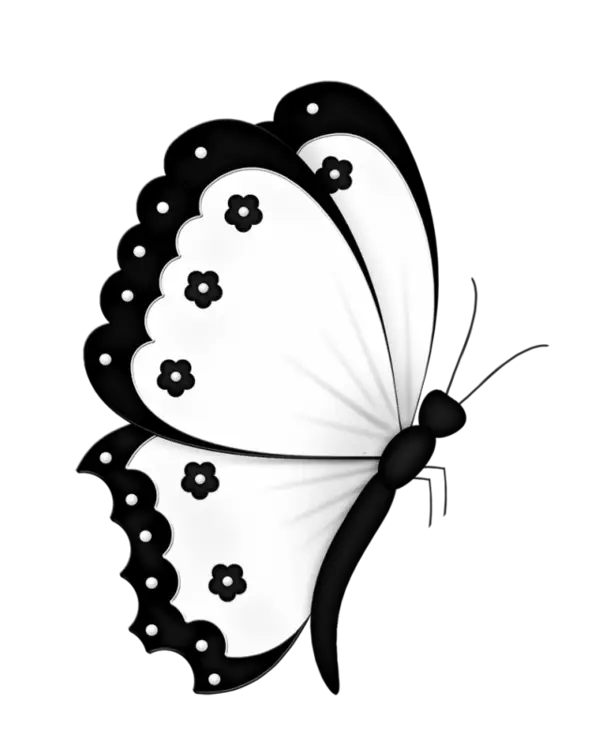 Black and White Butterfly Illustration