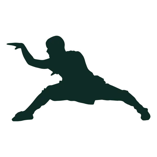 Martial Artist in Action Pose Silhouette