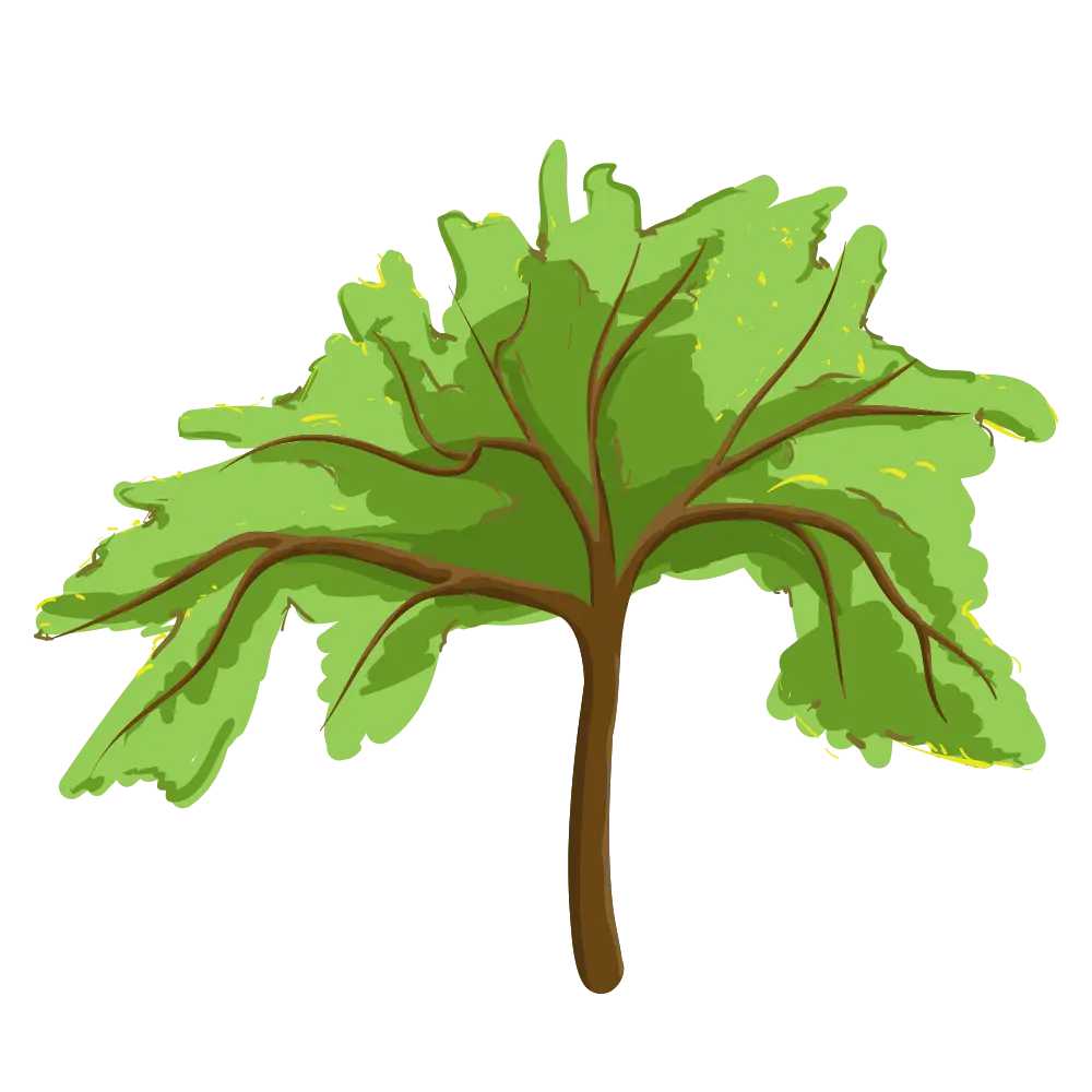 Graphic Illustration of a Tree with Green Leaves
