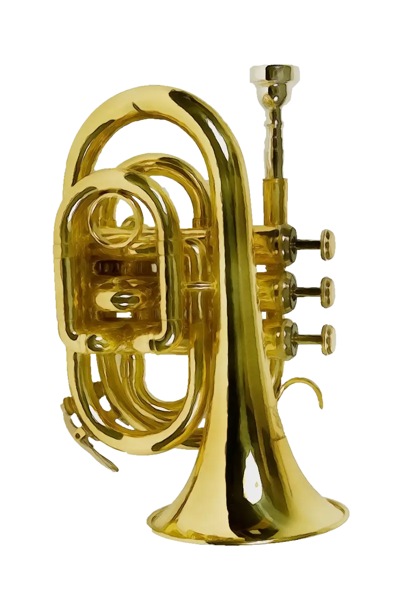 Golden Brass Trumpet Illustration