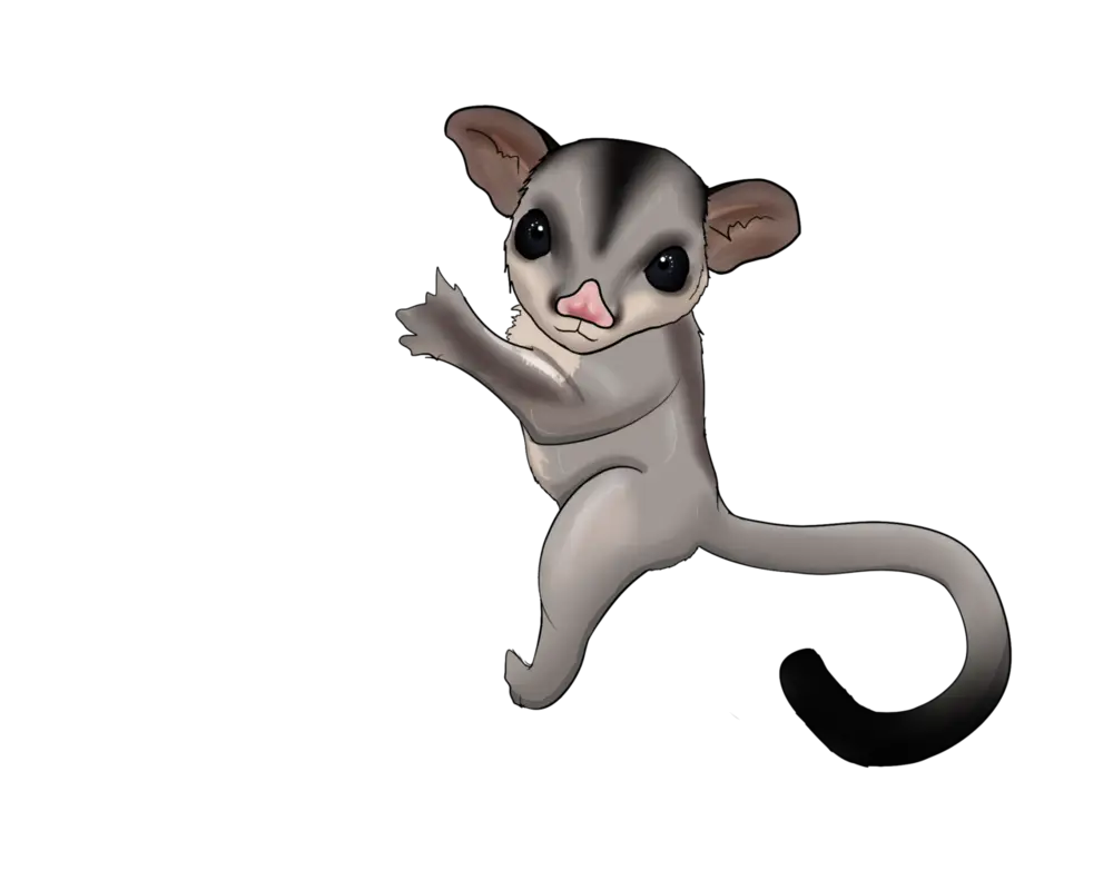 Cute Cartoon Animal