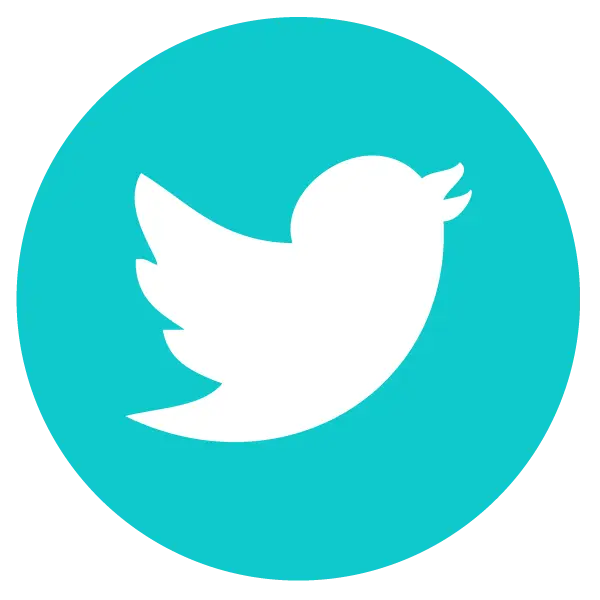 Twitter Bird Logo in Blue Circle