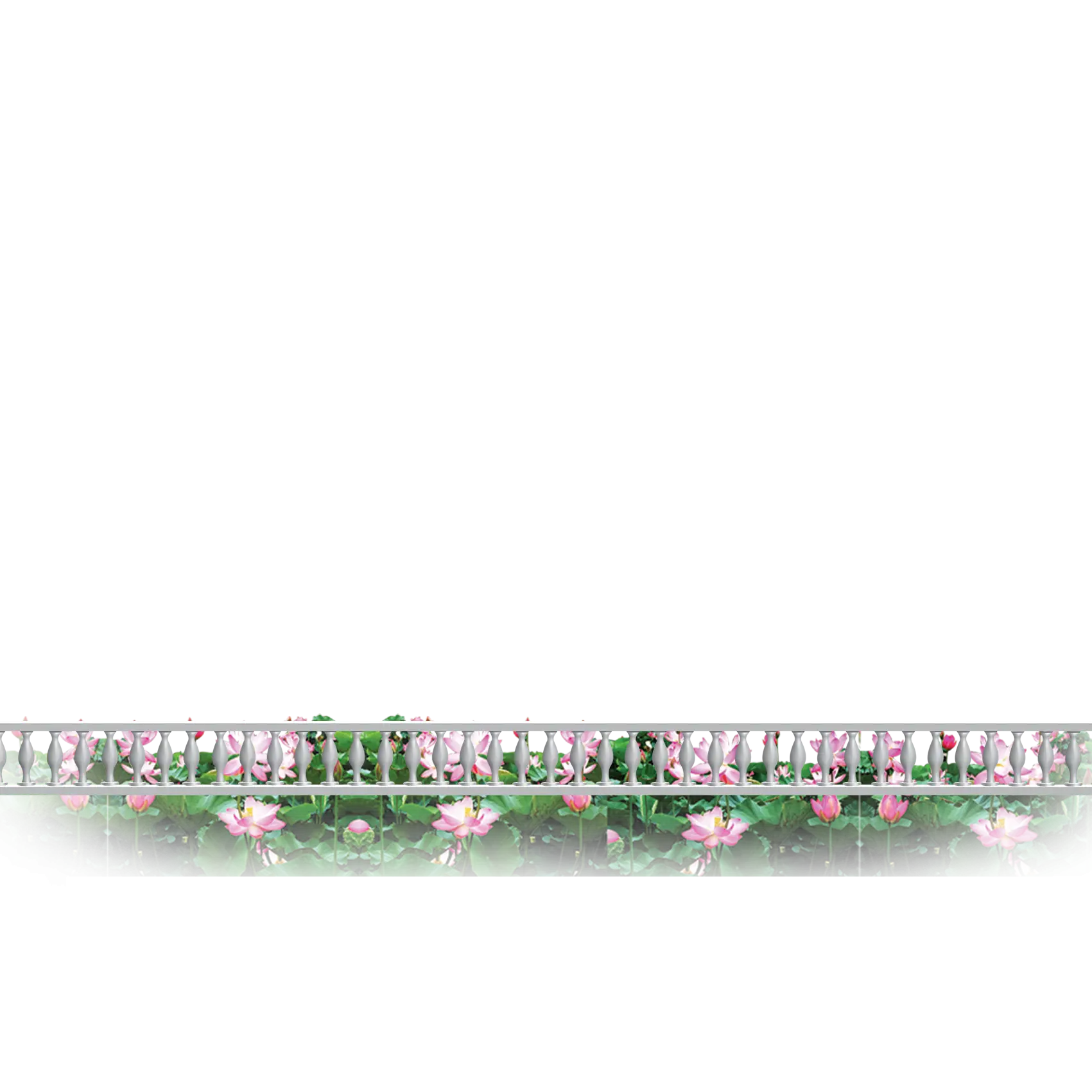 Lotus Flower Garden