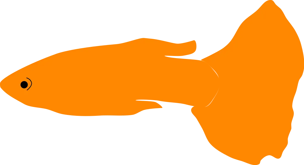 Orange Guppy Fish Design