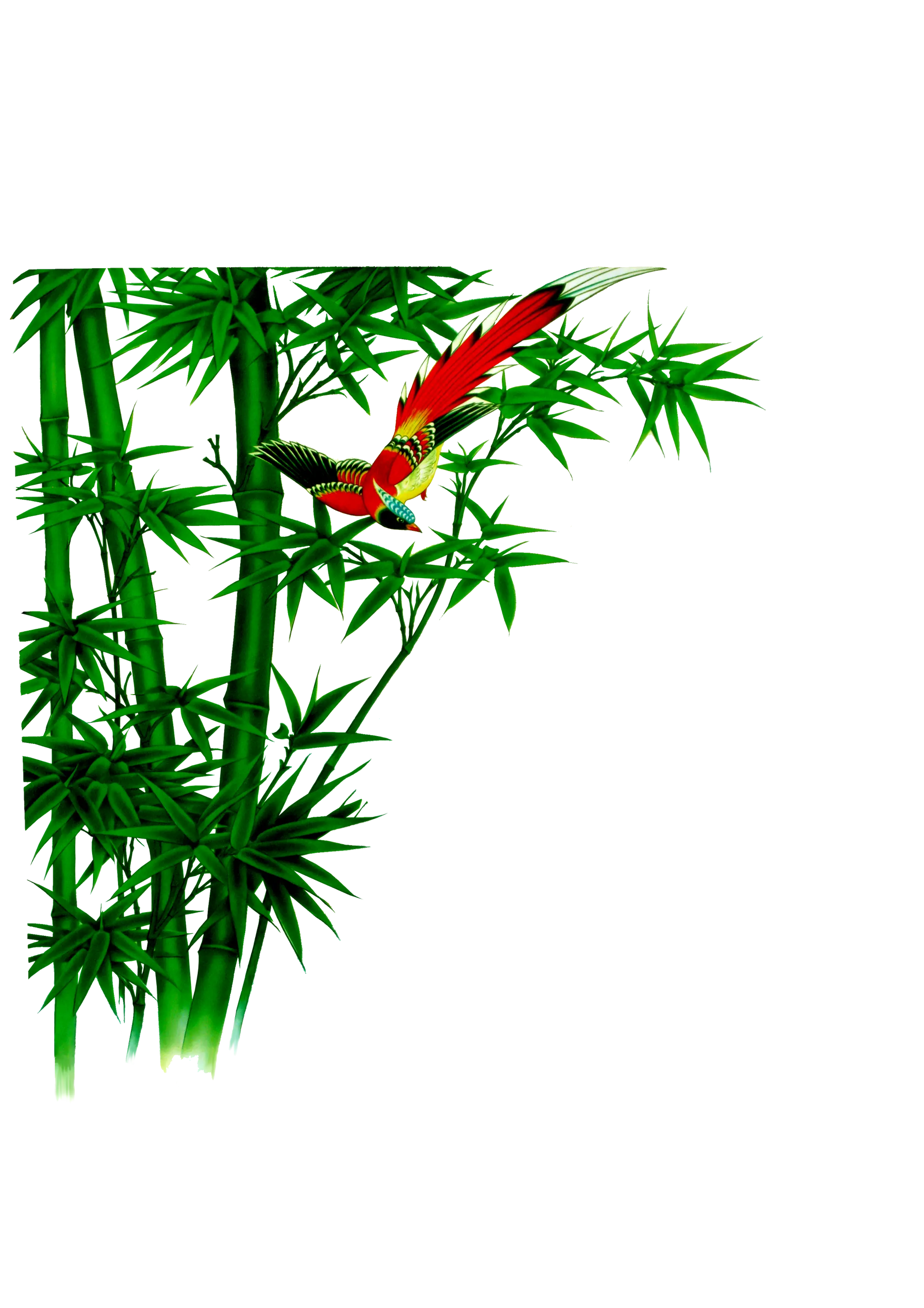 Bamboo and Perched Bird in Natural Harmony
