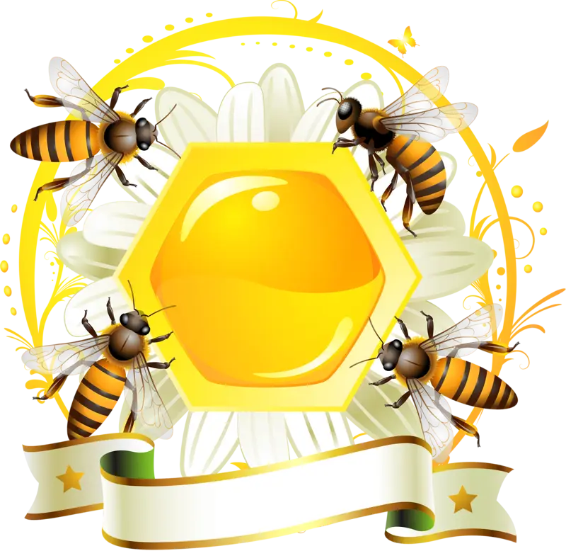 Bees and Honeycomb