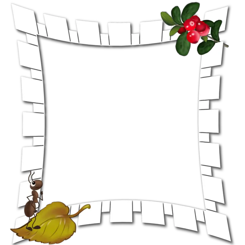 Decorative Frame with Leaves and Berries
