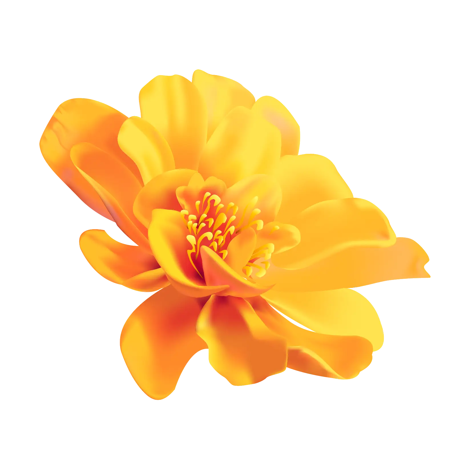 Yellow Flower with Blooming Petals