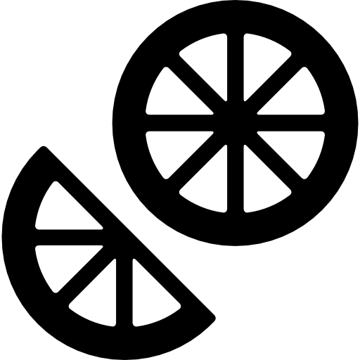 Black and White Citrus Slices Icon