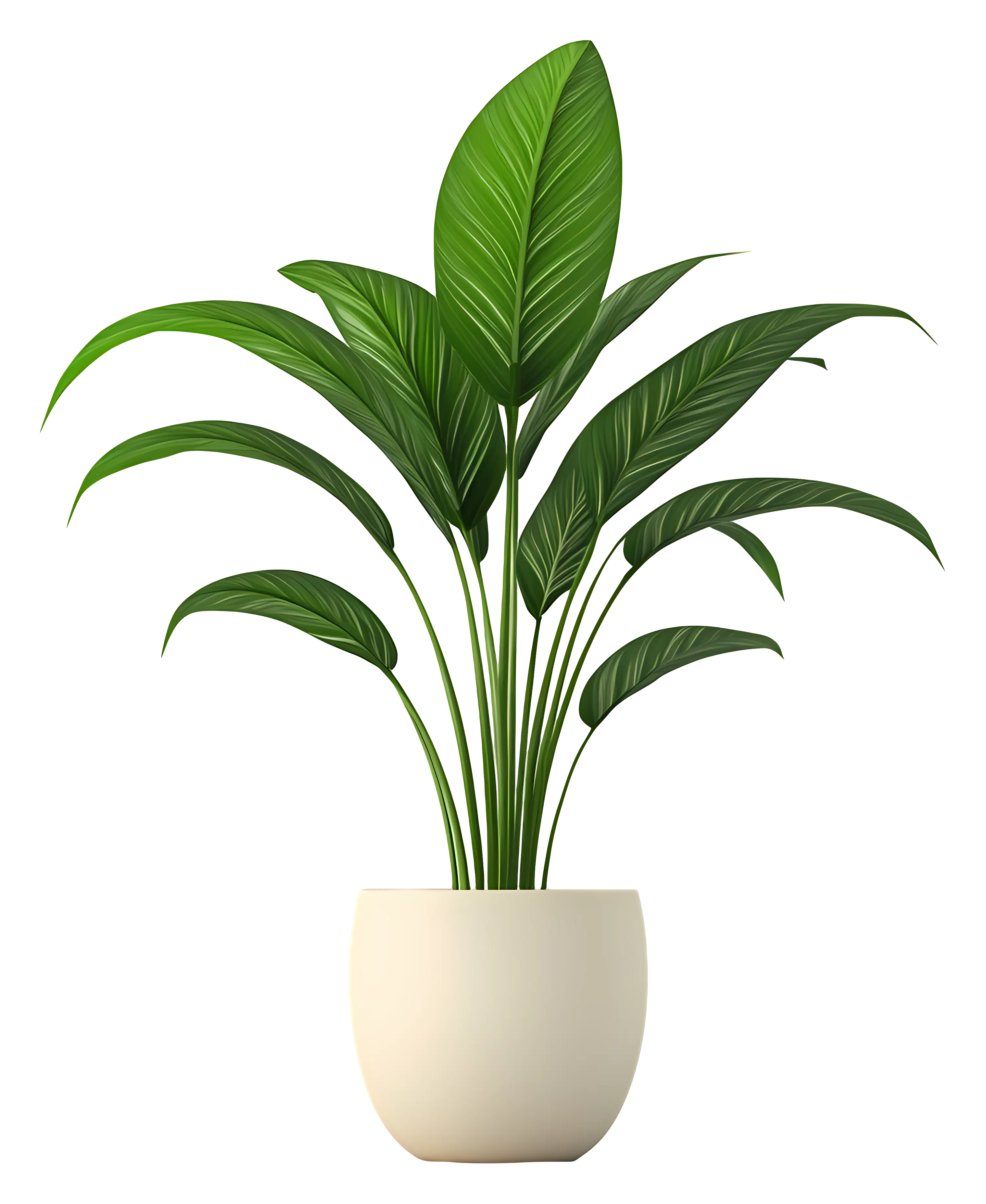 Potted Plant with Lush Green Leaves