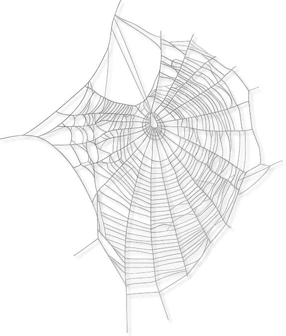 Intricate Spider Web for Halloween
