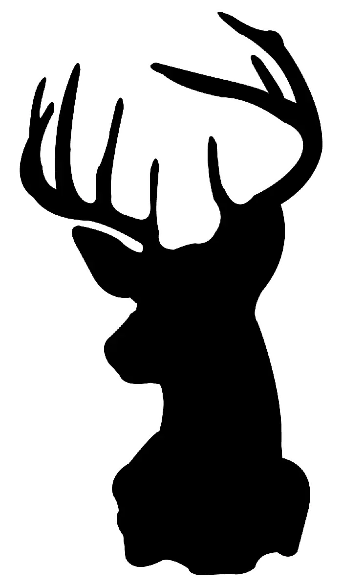 Deer Silhouette with Antlers