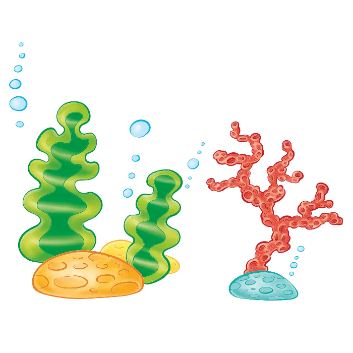Colorful Underwater Plants