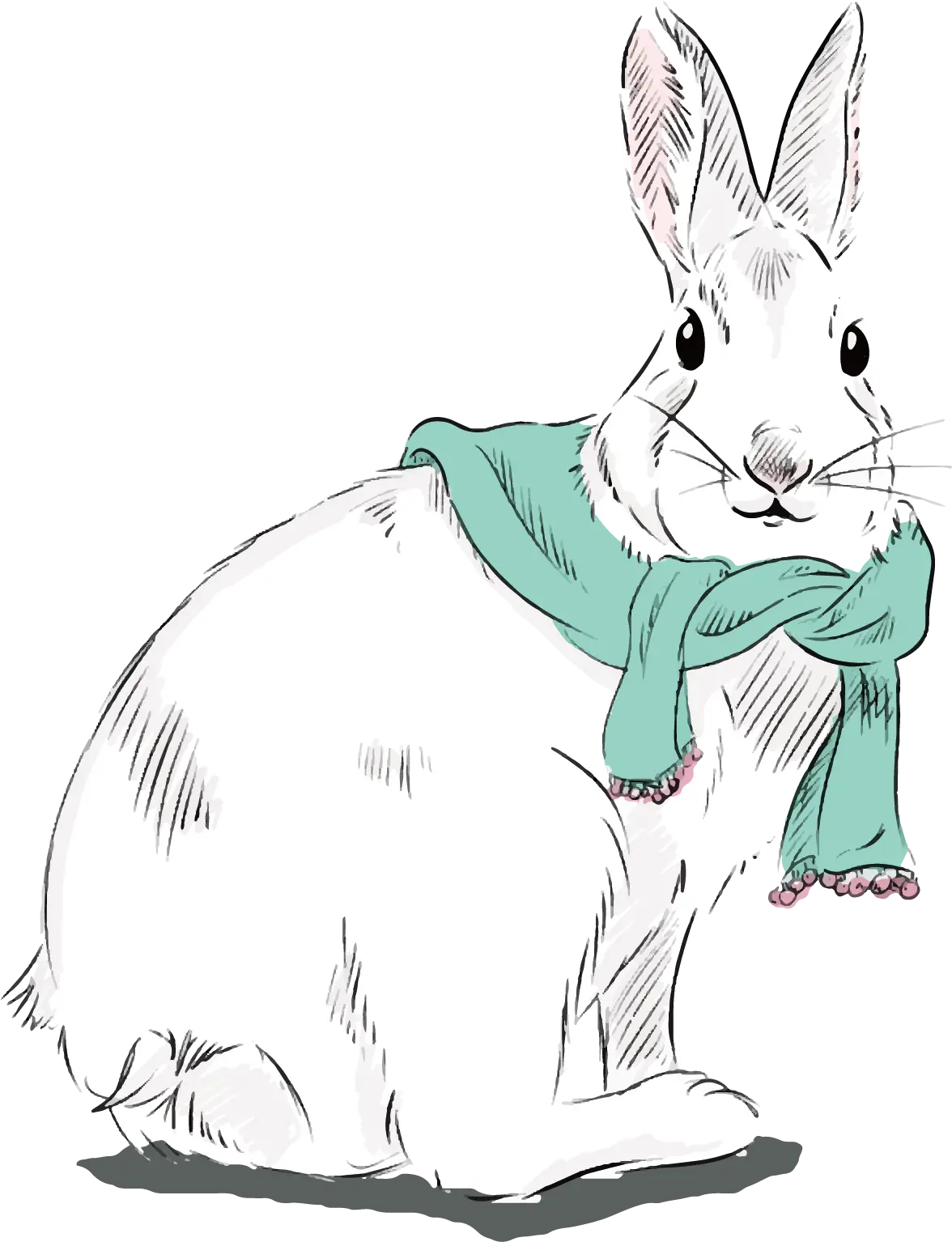 Cute Rabbit with Scarf