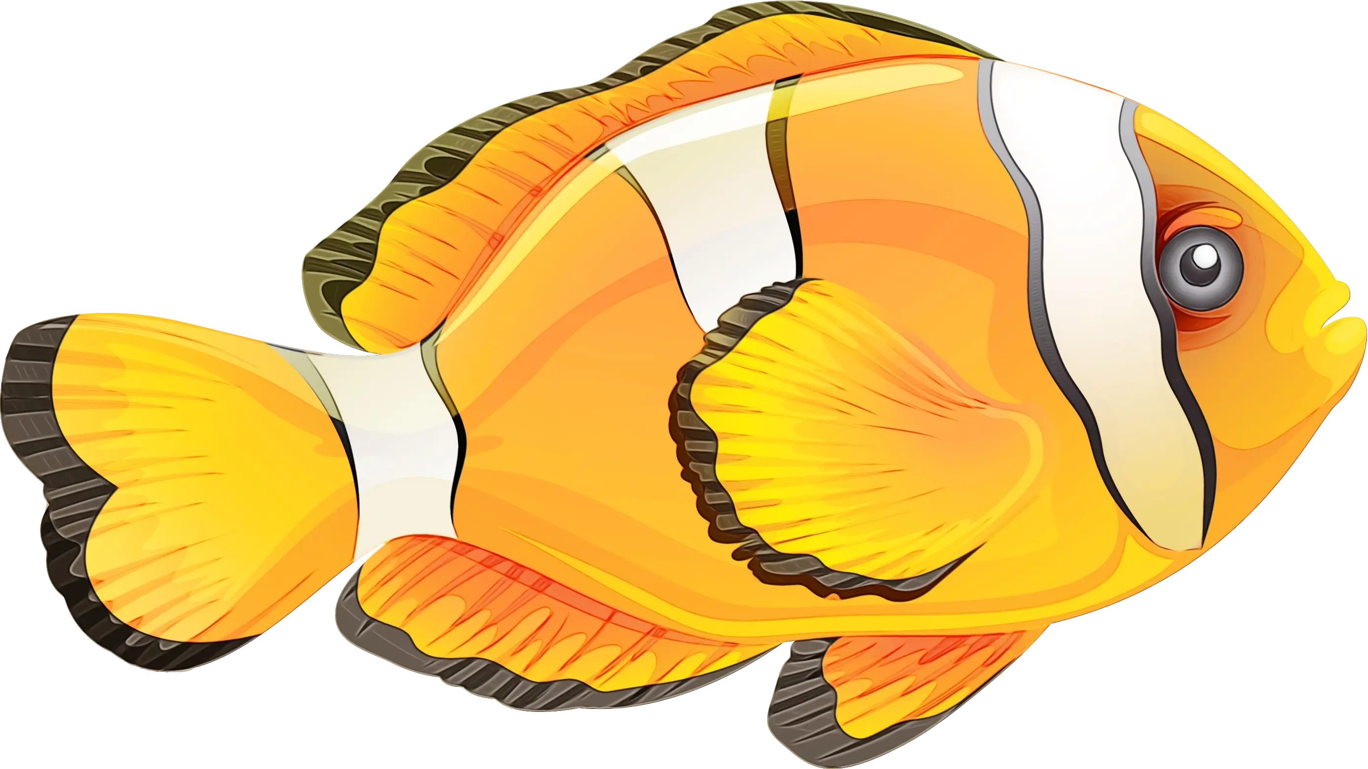 Bright Clownfish Illustration
