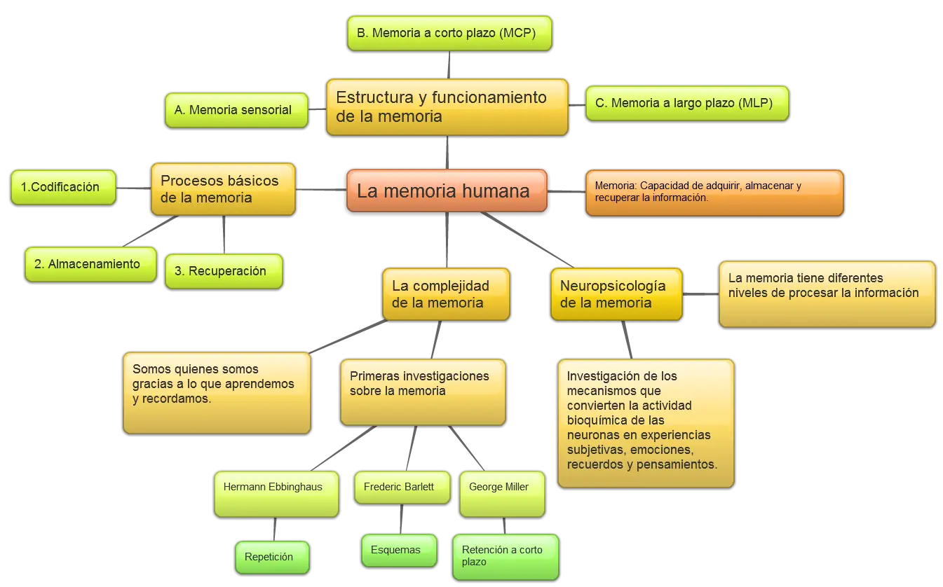 Mind Map on Human Memory Concept