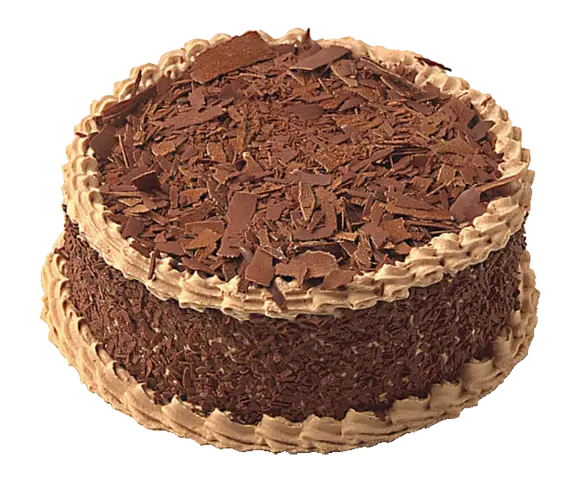 Delicious Chocolate Cake with Shavings