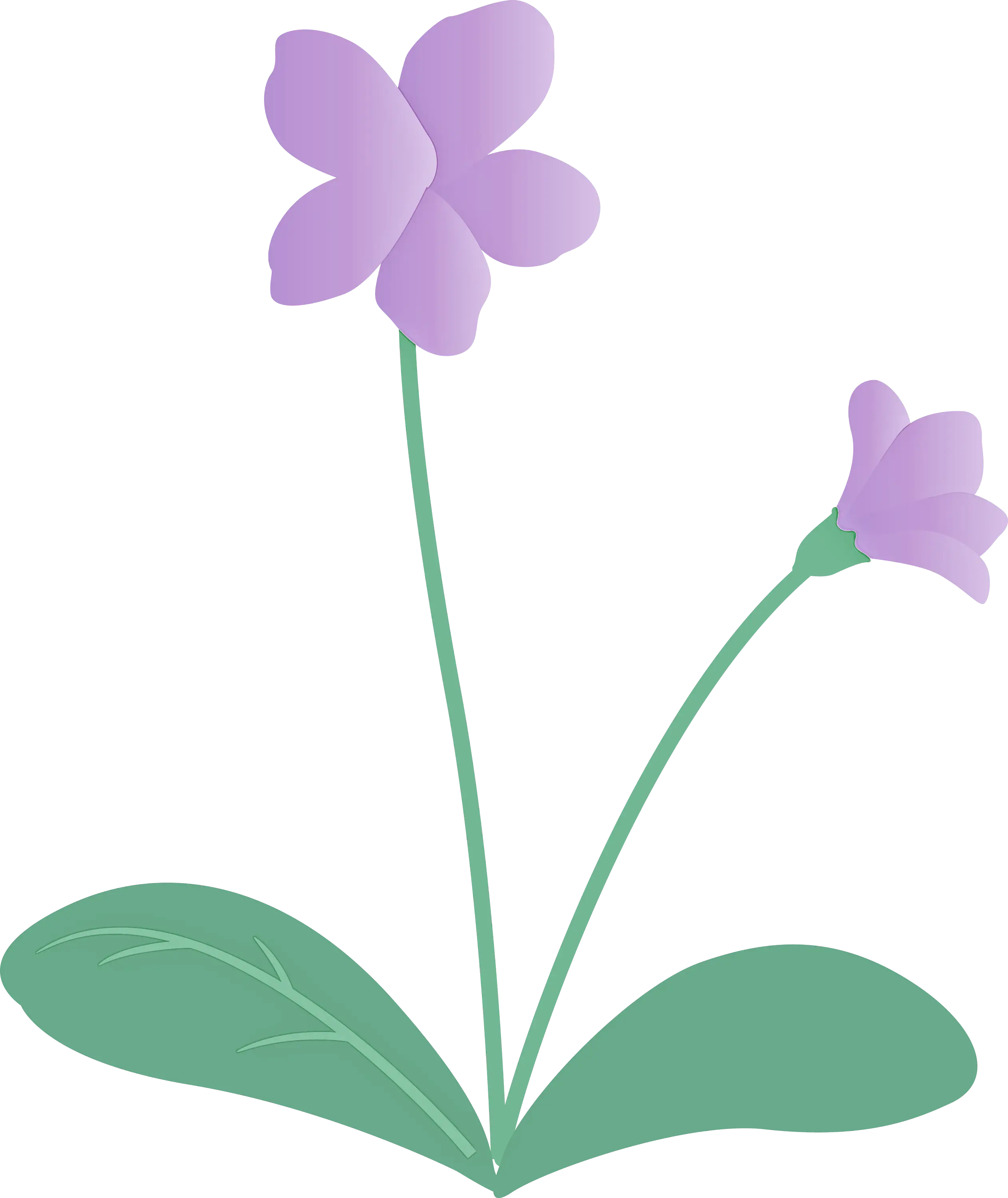 Illustration of Purple Flowers on Stem
