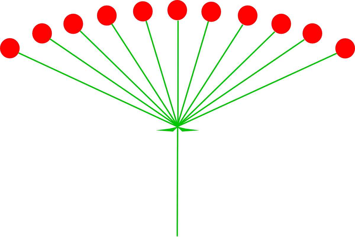 Diagram with Red Dots and Green Lines