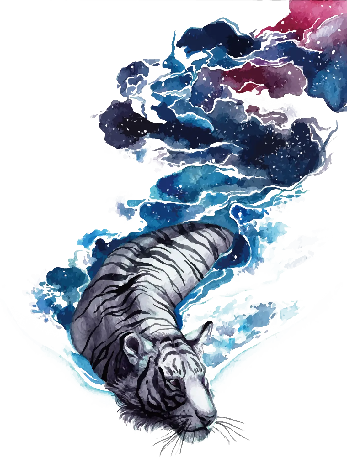 Galaxy Tiger in Water