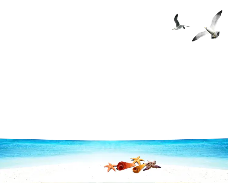 Relaxing Beach Scene