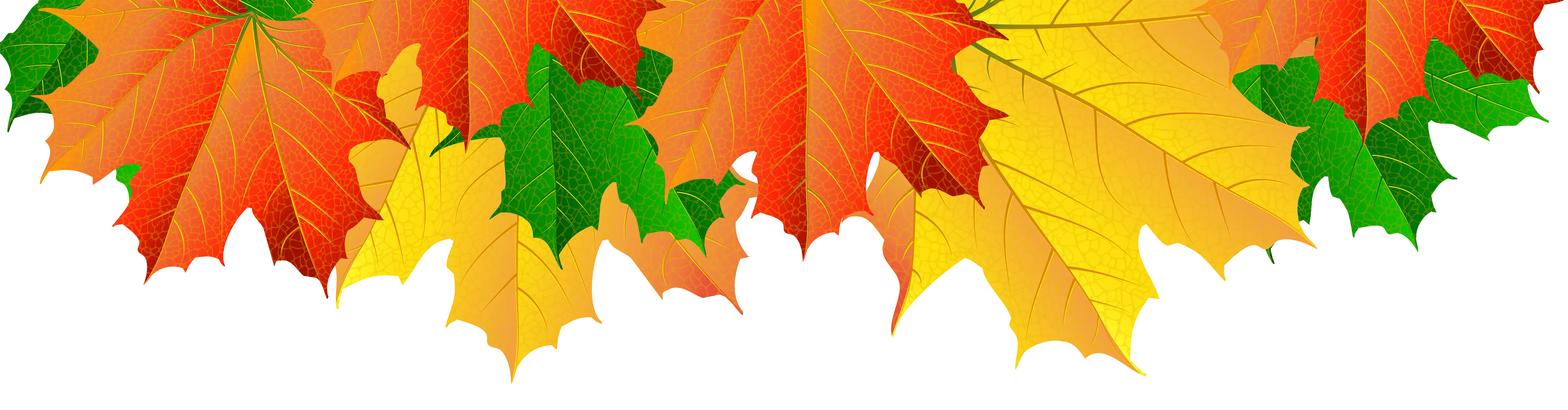 Colorful Autumn Leaves Background