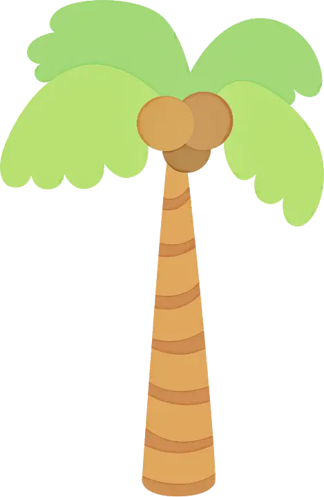 Cartoon Style Coconut Tree Illustration