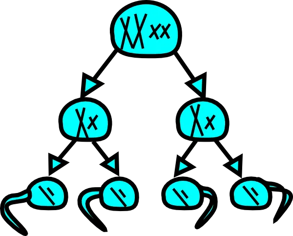Genetic Inheritance Diagram