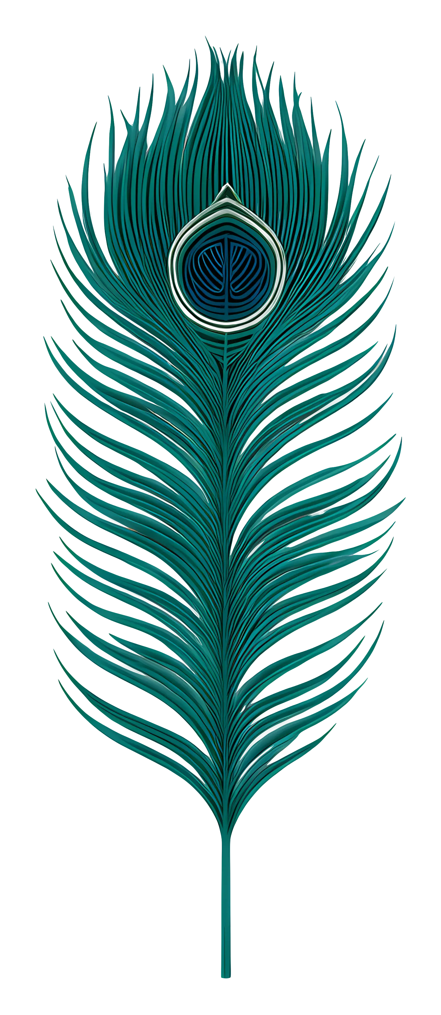 Elegant Peacock Feather