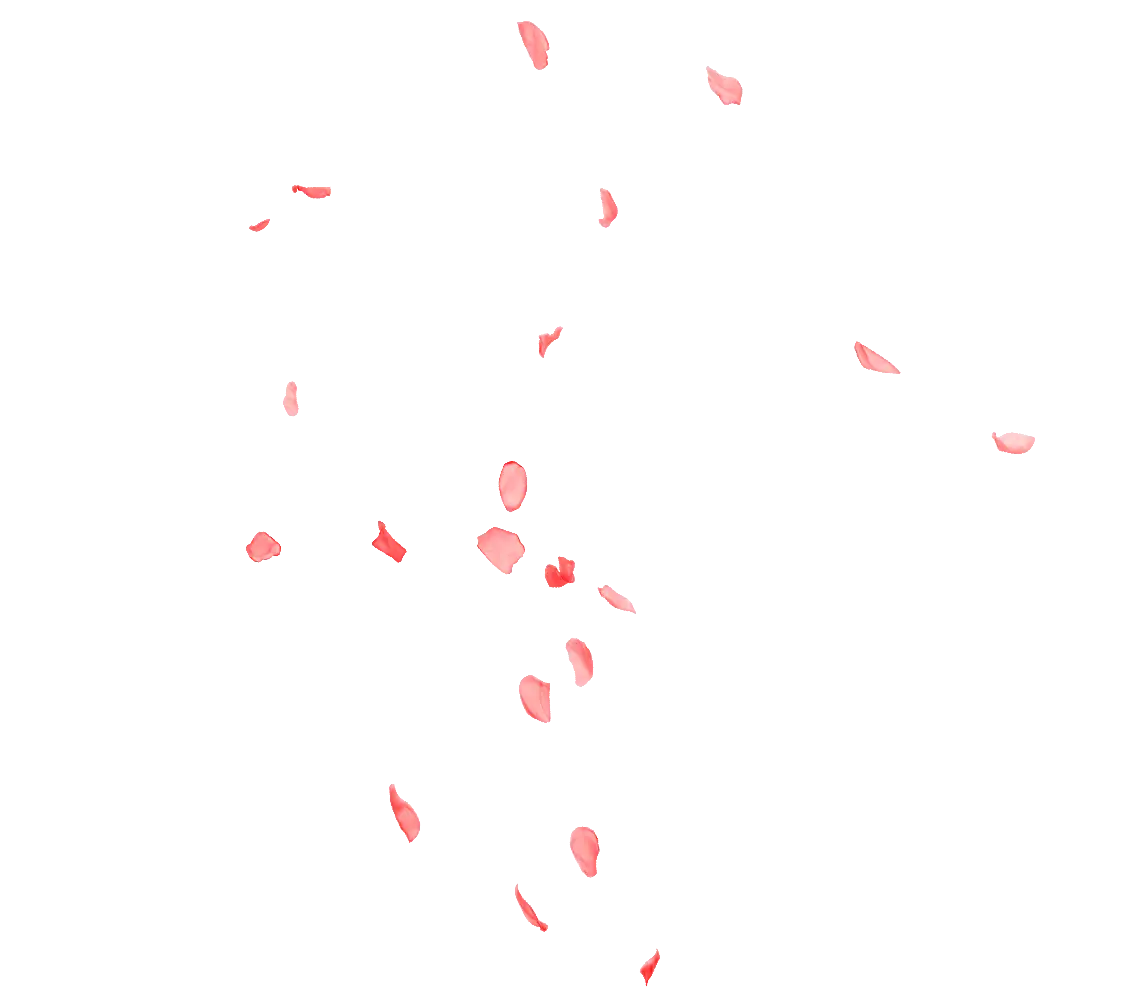 Falling Pink Rose Petals Graphic