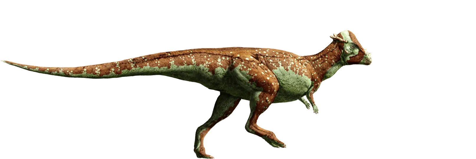 Hadrosaur Dinosaur Illustration