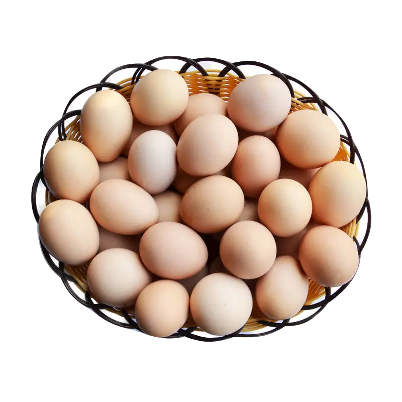 Basket of Fresh Eggs