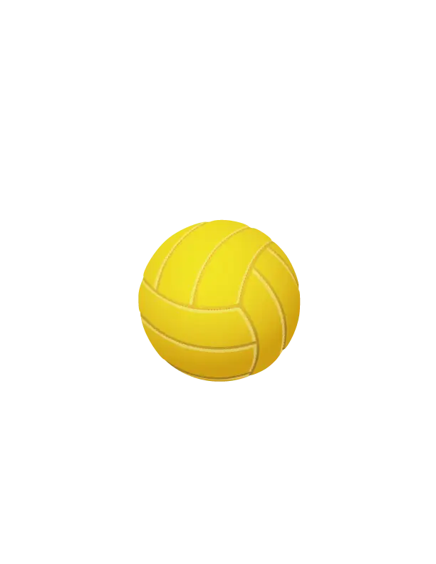 Yellow Volleyball