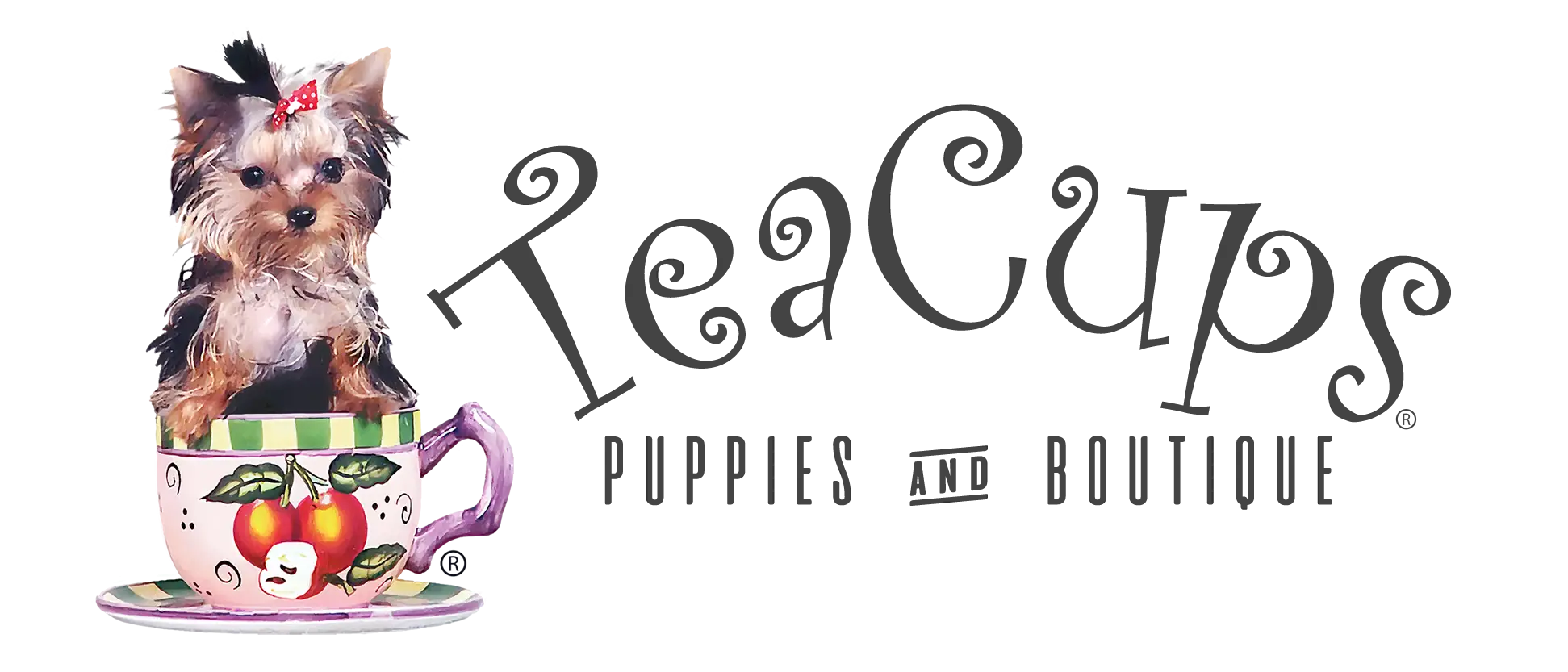 Teacups Puppies and Boutique Logo
