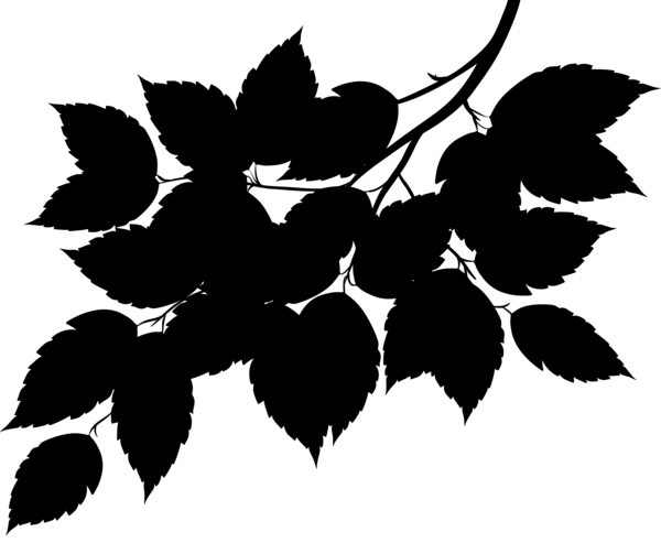 Black Silhouette Branch with Leaves