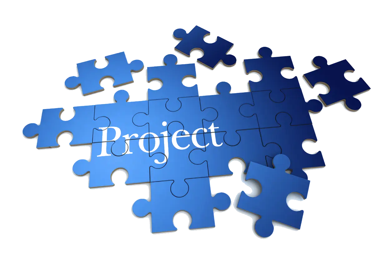 Blue Puzzle Project