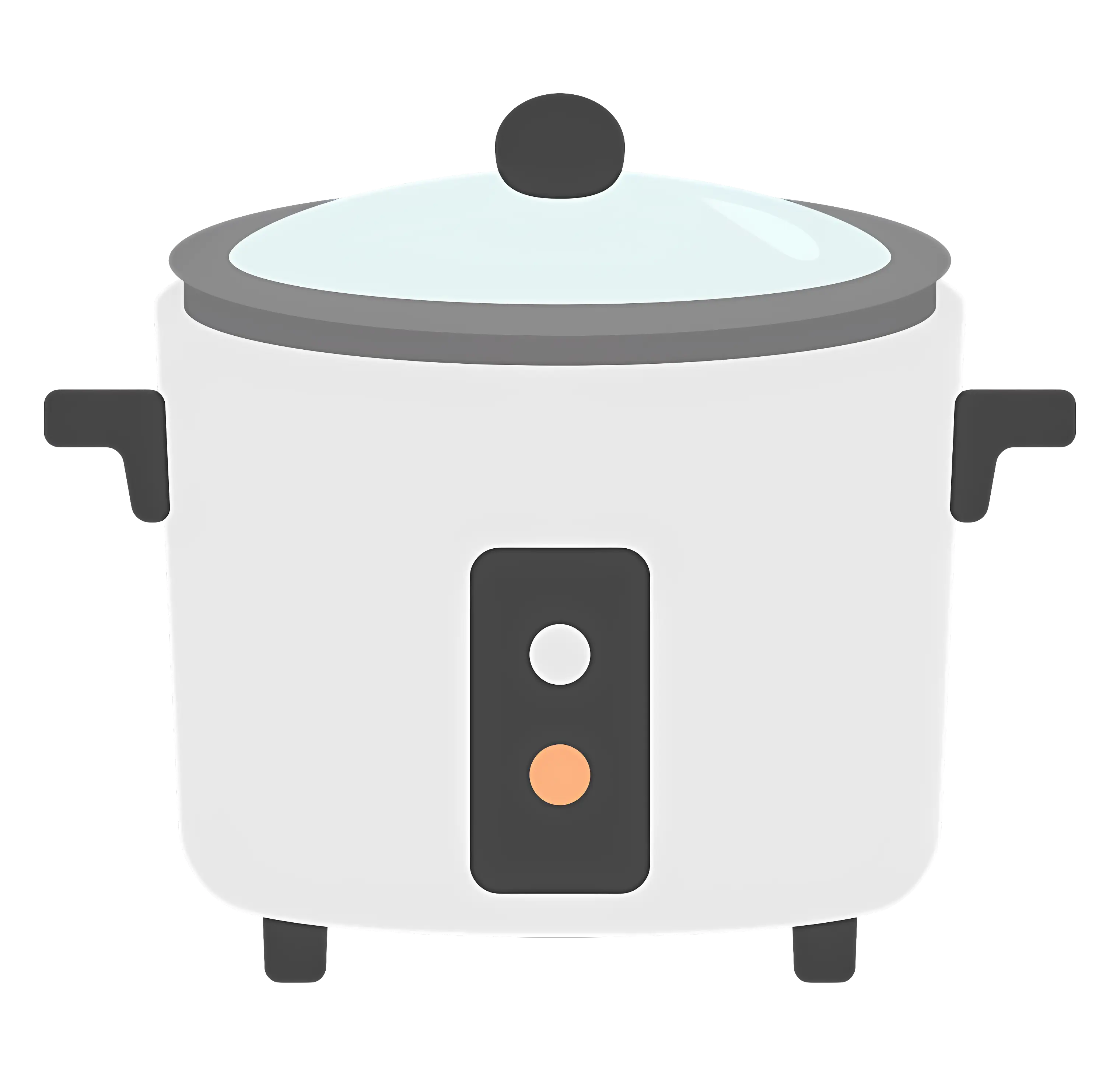 Electric Rice Cooker