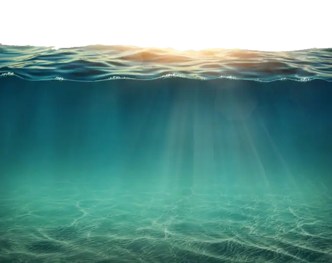 Serene Underwater Scene