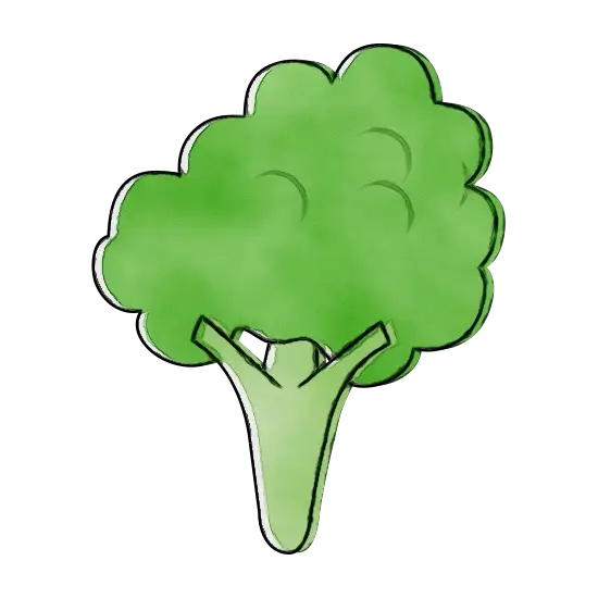 Green Broccoli Vegetable Design