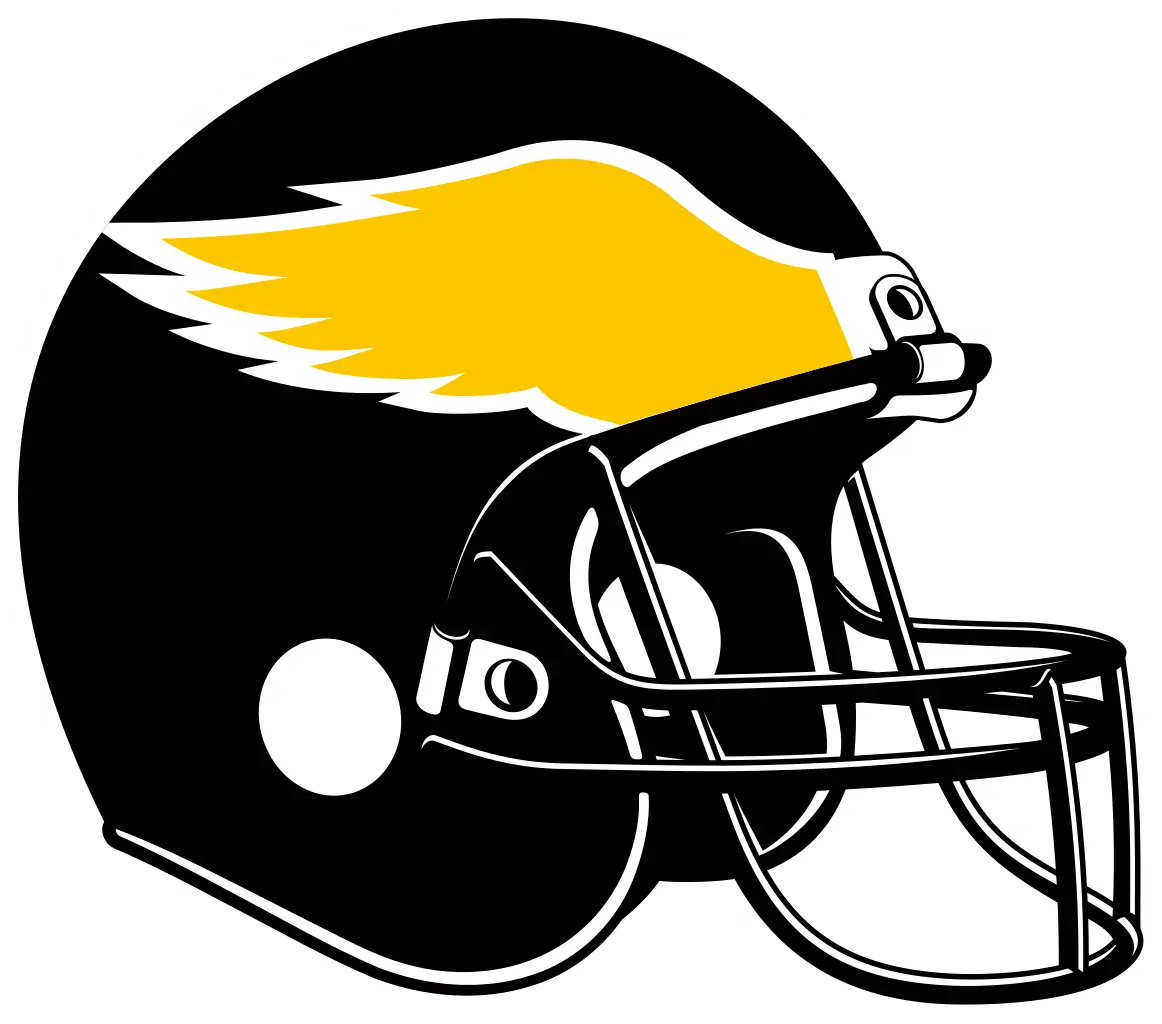 Black Football Helmet with Yellow Wing Design