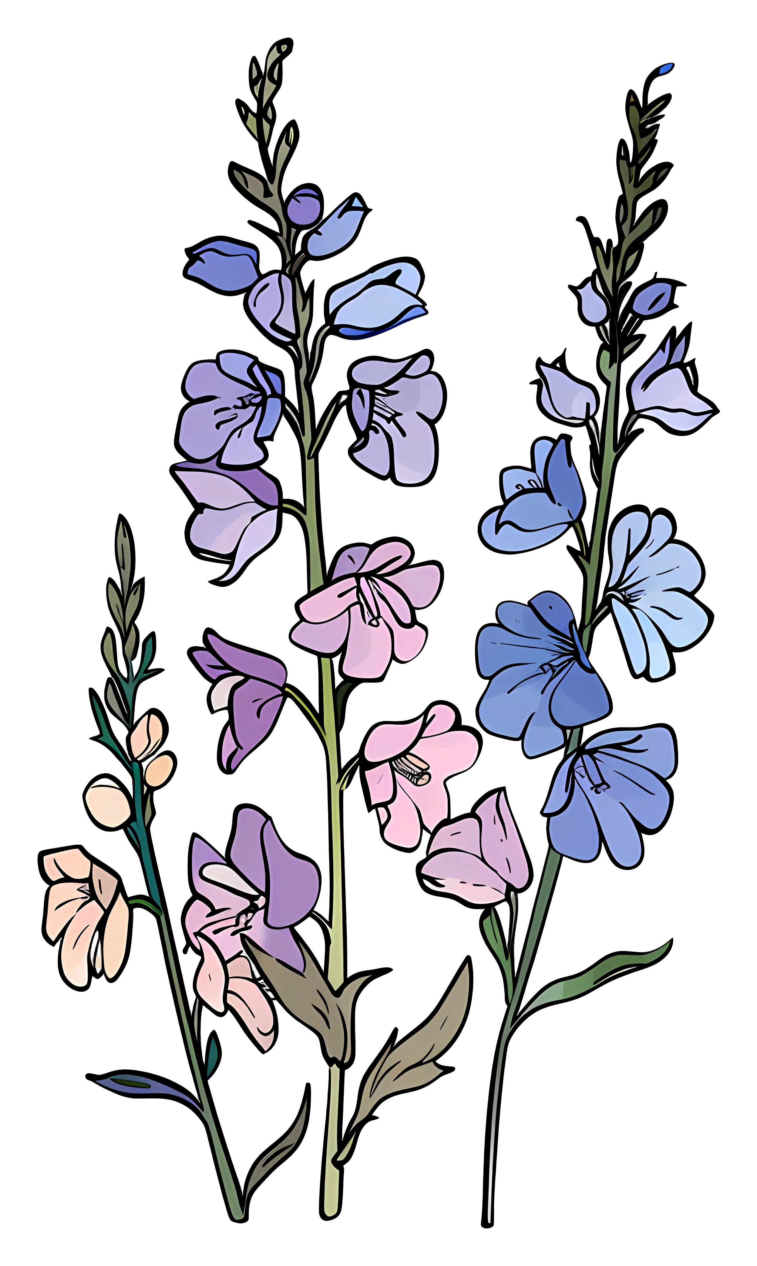 Colorful Blooming Flowers