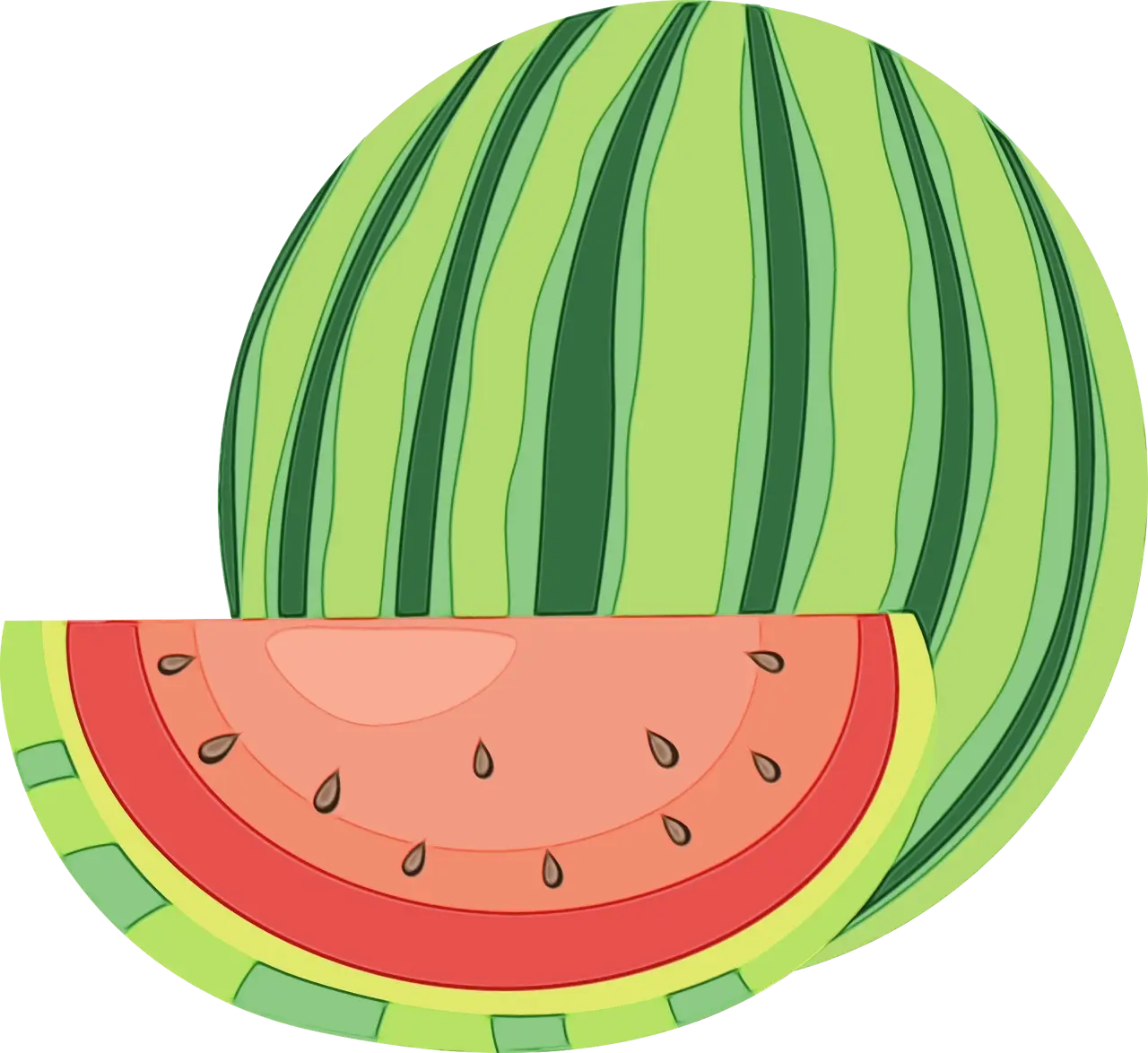 Watermelon Illustration with Whole Fruit and Slice