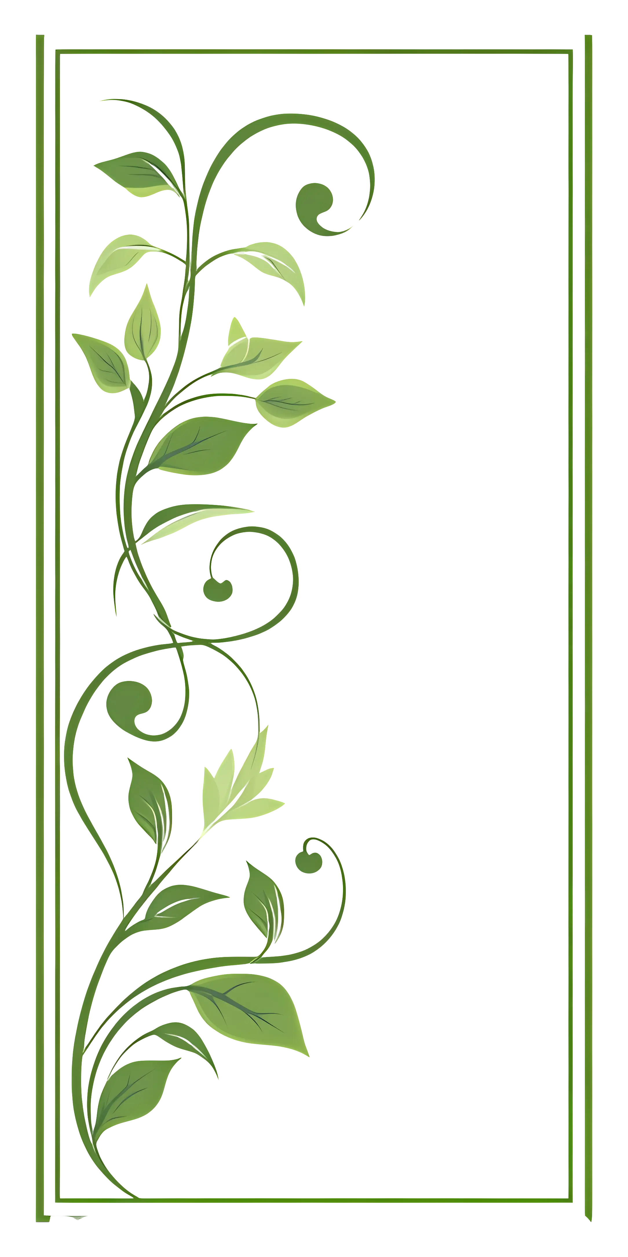 Green Vine Decorative Border